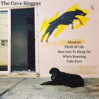 Take Care - The Cave Singers