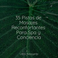 Uno En La Naturaleza - Canciones De Cuna Para Dormir Bebes & Natureza & Canciones de Cuna 101