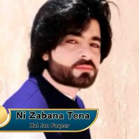 Ni Zebagha Kane - Hal Jan Faqeer