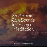 Ocean, Heavy, Shore, Waves - Sounds of Nature White Noise for Mindfulness Meditation and Relaxation & Nature's Symphony & Oasis of Meditation