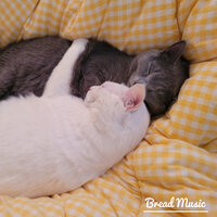 Cuddly Rhythms - Bread Music