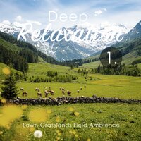 Lawn Grasslands Field Ambience, Pt. 6 - Craig Hewitt
