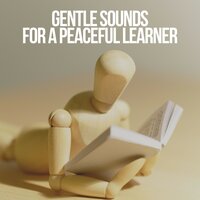 Peaceful Learner - Exam Study