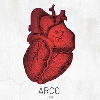 Alegato - Arco