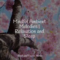 Dunes of Dreaming - Academia de Música para Massagem Relaxamento & Yoga Soul & Musica Para Dormir y Sonidos de la Naturaleza