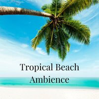 Soothing Ocean Waves - Tropical Ocean Waves Oasis