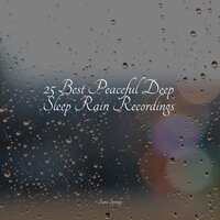 Ocean Water, Between Rocks, Splash - Winds and Oceans & The Rainforest Collective & Deep Sleep Meditation