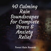 Calming Ocean - Asian Zen Spa Music Meditation & Calming Rainforest Sounds & Yoga Workout Music