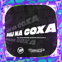 Pau Na Coxa - DJ GUILHERME DUARTE & Mc Colibri