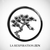 Choisi - Sophrologie Musique d'Ambiance & Club de Méditer de Détendre