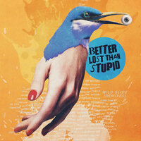 The Sky Is Too Low - Better Lost Than Stupid & Fort Romeau