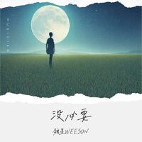 没必要 - 魏星WEESON