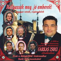 A Faluban Nincs Több Kislány Csak Kettő - Zsolt Farkas Hungarian Nóta Singer