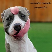 Cagna - Musiko