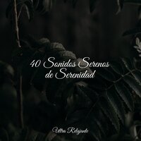 Rocío De Primavera - Academia de Música para Massagem e Relaxamento & Música para Relaxar Maestro & Relajantes sonidos de lluvia
