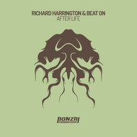 After Life - Richard Harrington & Beat On & Echo Daft