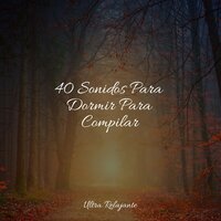 Amanecer en La Arenosa Playa - Musica relajante con sonidos de la naturaleza & Sons da Natureza & Música de la Naturaleza