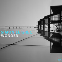Wonder - Simon Le Grec