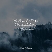 Un Humor De Ambiente - Musica Para Meditar & Musica Relajante Specialistas & Massagem Coleção de Músicas