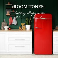 Soothing Refrigerator Humming Sounds, Pt. 4 - Nowak Sommer