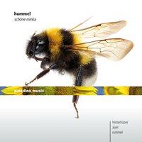 Trio (Adagio, Variations and Rondo on "Schöne Minka") for Flute, Cello and Piano in A Major, Op. 78: Variation 3 - Christopher Hinterhuber & Walter Auer & Martin Rummel & Иоган Непомук Гуммель