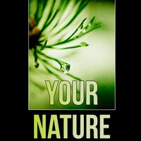 Your Nature (Piano Soft) - Harmony Nature Sounds Academy