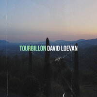 quand les chats sont gris - DAVID LOEVAN