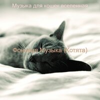 Атмосфера (Сонные кошки) - Музыка для кошек вселенная