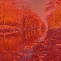 Laid-back Moods for Mornings - Calm Guitar Music Collections