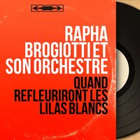 La fontaine endormie - Rapha Brogiotti et son orchestre