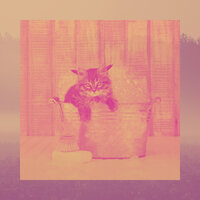 Fun Ambiance for Home Cats - Calming Music for Cats