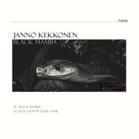 Black Mamba - Janno Kekkonen