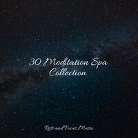 Summer Breeze - Pro Sound Effects Library & Sounds of Nature White Noise for Mindfulness Meditation and Relaxation & Sleeping Baby Songs
