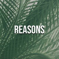 Reasons - Robert Firth
