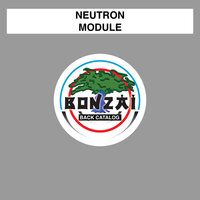 Module - neutron