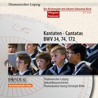 O ewiges Feuer, o Ursprung der Liebe (Cantata BWV 34): I. O ewiges Feuer, o Ursprung der Liebe - Thomanerchor Leipzig & Gewandhausorchester & Georg Christoph Biller & Johann Sebastian Bach