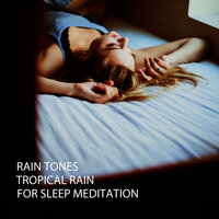 Rain Noise - Weather and Nature Recordings & Sleeping Music For Dogs & Deep Sleep Music Experience