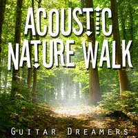 Learn To Fly - Guitar Dreamers