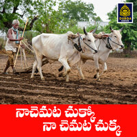 Na Chemata Chukko Na Chemata Chukka - Anand