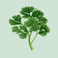 Pesto - Alti
