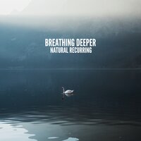 Rainy Song - Sweet Music Relaxation