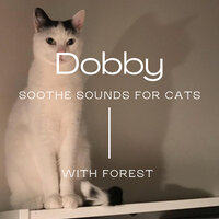Dobby - Forest