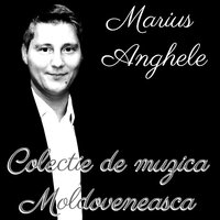 Greselile Iertate - MARIUS ANGHELE