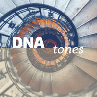 Just Like a Dream - Jana Wehbe & Solfeggio Frequencies 528Hz & Solfeggio Frequencies 528Hz & Jana Wehbe