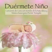 Dormir Bien - Estrella Cuna