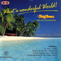 Most Beautiful Girl (Rumba) - Tony Evans & Tony Evans and His Orchestra & Tony Evans & His Orchestra