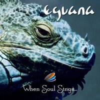 Slides of Recollections - Eguana