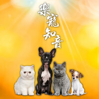 佛頂尊勝佛母心咒 - 常靜法師