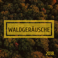 Winter - Relaxing Songs
