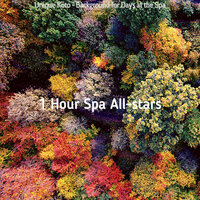 Sublime Spa Days - 1 Hour Spa All-stars